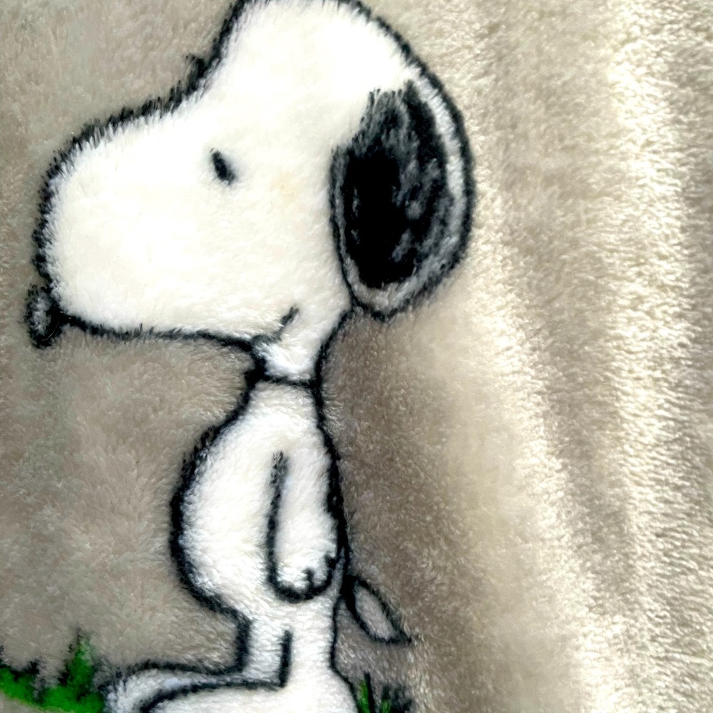 Beautiful Snoopy Easter/Spring throw - Picture 2 of 5